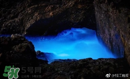 浙江多地驚現(xiàn)藍(lán)眼淚現(xiàn)象 藍(lán)眼淚是什么？