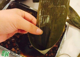 粽子葉怎么煮？煮粽葉的步驟