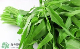 空心菜可以放冰箱嗎？空心菜能在冰箱放幾天