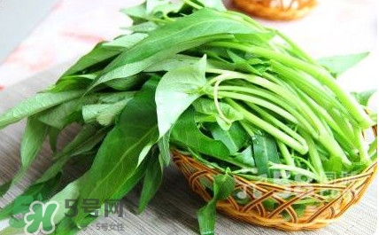 空心菜有毒嗎？空心菜需要焯水嗎？