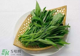 空心菜能和雞蛋一起吃嗎？雞蛋可以和空心菜一起吃嗎