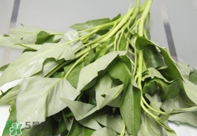 空心菜可以生吃嗎？空心菜能生吃嗎