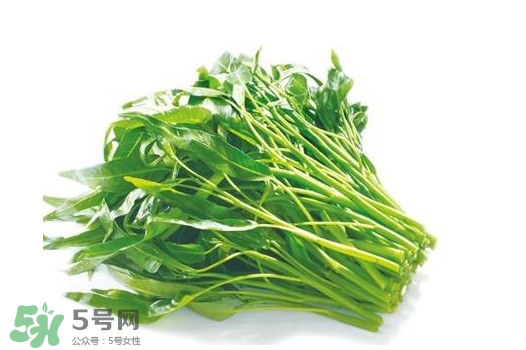 空心菜有毒嗎？空心菜需要焯水嗎？