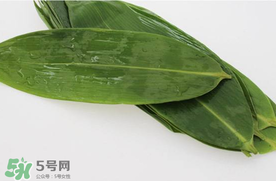 新鮮粽葉怎么處理？新鮮粽子葉怎樣處理？