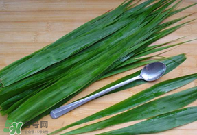 粽葉是蘆葦葉嗎？粽葉和蘆葦葉的區(qū)別