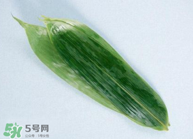 箬葉可以包粽子嗎？箬葉怎么包粽子？