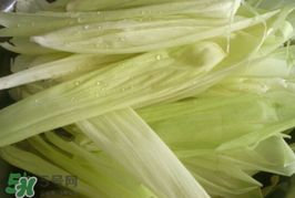 玉米葉可以包粽子嗎？包棕子用玉米葉可以嗎?