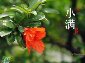 ?小滿可以回娘家嗎？?小滿能回娘家嗎？