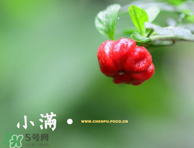 ?小滿可以回娘家嗎？?小滿能回娘家嗎？