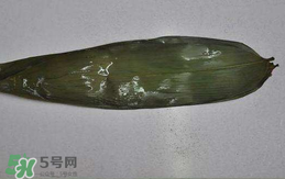 粽葉怎么曬干？粽葉怎么曬干不卷？