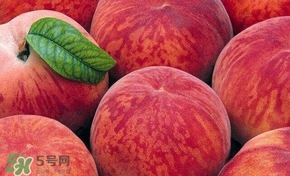 桃子和西瓜一起吃會(huì)中毒嗎？桃子和西瓜能一起吃嗎？