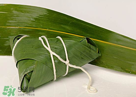 新鮮粽葉怎么處理？新鮮粽子葉怎樣處理？