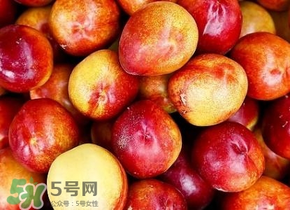 桃子的種類(lèi)有哪些？哪種桃子最好吃？