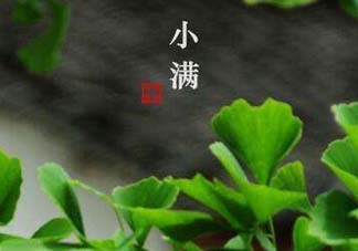 ?小滿可以回娘家嗎？?小滿能回娘家嗎？