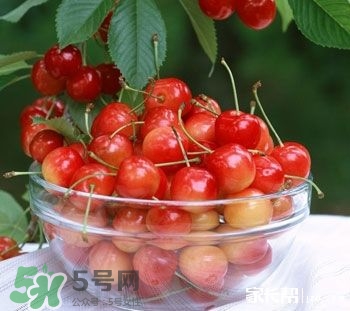 櫻桃是熱性還是涼性？櫻桃能多吃嗎？