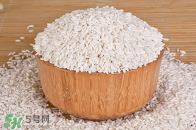 江米泡多久才可以包粽子？江米包粽子跑多長(zhǎng)時(shí)間？
