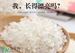 大米可以包粽子嗎？包粽子大米要泡多久？