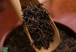 普洱茶能不能天天喝？天天喝普洱茶好嗎？