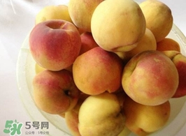 黃桃是杏子嗎？黃桃和杏子的區(qū)別