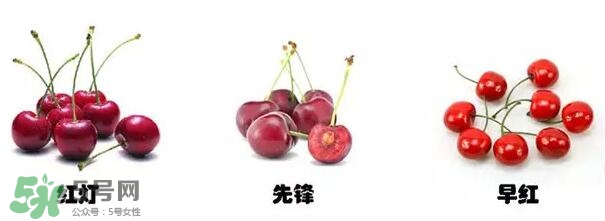 櫻桃和車?yán)遄佑惺裁磪^(qū)別？櫻桃和車?yán)遄幽膫€(gè)貴？