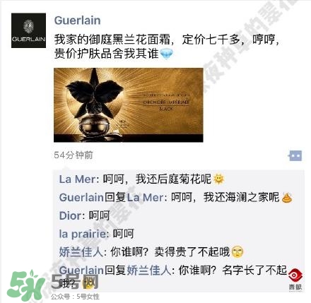 嬌蘭和嬌蘭佳人一樣嗎？嬌蘭和嬌蘭佳人什么聯(lián)系？