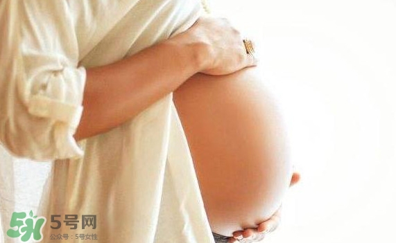 孕婦可以吃肉松蛋糕嗎？孕婦能吃肉松面包嗎