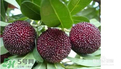楊梅怎么吃好吃？楊梅怎么吃不酸？