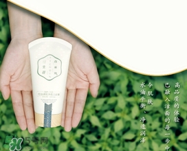 百雀羚三生花洗面奶多少錢？百雀羚三生花洗面奶價(jià)格