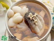 鱷魚(yú)肉燉湯要去皮嗎？鱷魚(yú)肉煲湯新鮮的好還是干的好