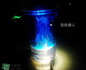 僵尸雞尾酒配方是什么？僵尸雞尾酒配方做法