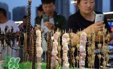 鱷魚肉價(jià)格多少錢一斤？吃鱷魚犯法嗎？