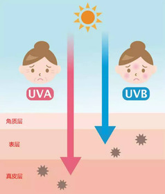 安耐曬好用嗎？安耐曬怎么樣？