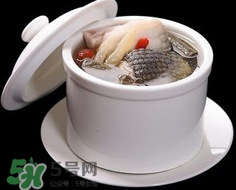 干鱷魚肉怎么吃？鱷魚肉怎么吃治咳嗽？