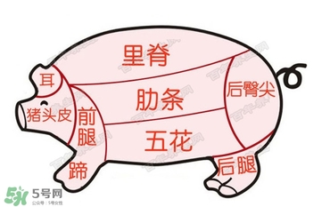 后臀尖多少錢一斤？豬后臀尖在哪？