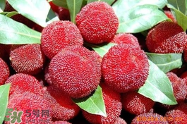 楊梅吃多了會上火嗎？楊梅吃多了會胖嗎？