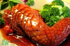 鱷魚肉是寒性的嗎？ 鱷魚肉是寒性還是溫性？