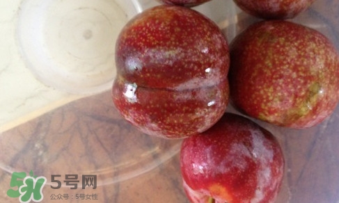 三華李可以和香蕉一起吃嗎？香蕉能和三華李一起吃嗎