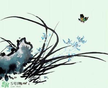 空谷幽蘭是什么書？空谷幽蘭講的是什么？