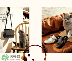 belle是什么牌子？百麗是哪個(gè)國家的品牌？