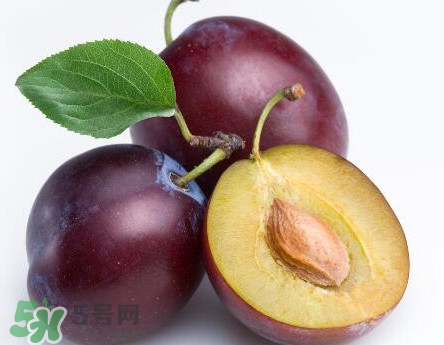 三華李可以放多久？三華李可以冷藏嗎？