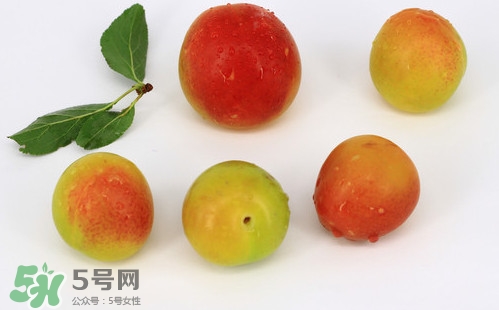 雙華李有什么營(yíng)養(yǎng)？雙華李的營(yíng)養(yǎng)價(jià)值