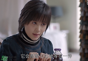 蒼蠅粉是什么意思？蒼蠅粉是什么東西？