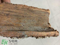 安哥拉樹(shù)皮的功效 安哥拉樹(shù)皮怎么用？