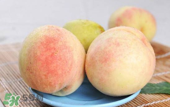 陽山水蜜桃多少錢一斤？無錫陽山水蜜桃價格
