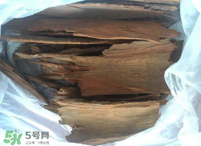 安哥拉樹皮能天天吃嗎？安哥拉樹皮天天吃可以嗎？