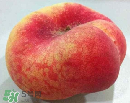 盤桃是蟠桃嗎？盤桃和蟠桃一樣嗎