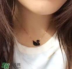 施華洛世奇黑天鵝是什么材質(zhì)？施華洛世奇黑天鵝是水晶嗎？