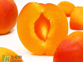 杏子幾月成熟？杏子什么時(shí)候成熟？