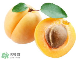 杏子幾月成熟？杏子什么時(shí)候成熟？