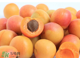 杏子一天吃幾個？杏子一次可以吃多少？